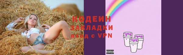 дурь Нягань
