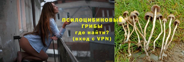дурь Нягань